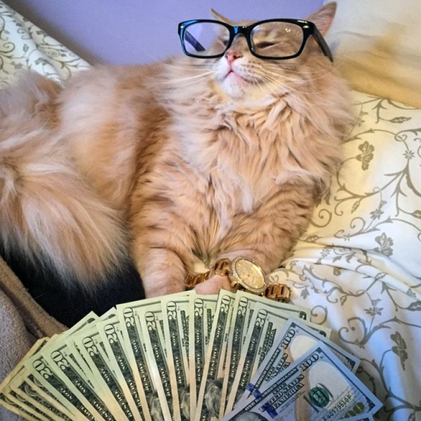 Tarjetas, dinero, dos barril: 20 gangsteritto fotos de instagram Tarjetas, dinero, dos barril: 20 gangsteritto fotos de instagram