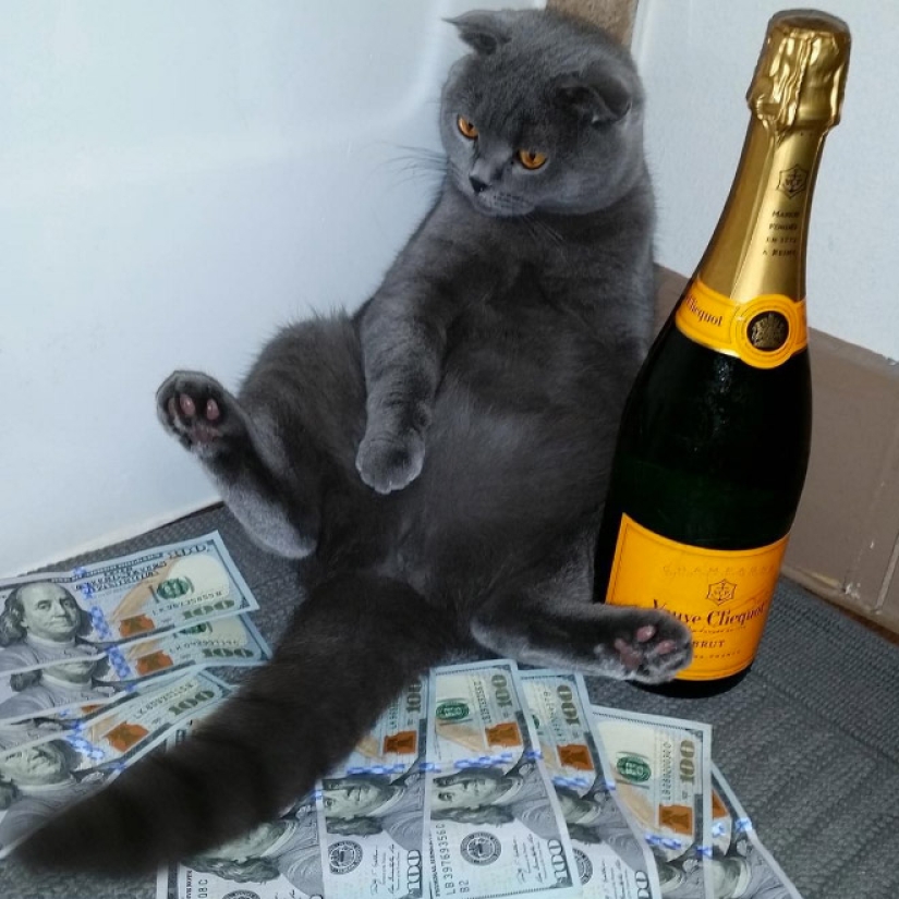 Tarjetas, dinero, dos barril: 20 gangsteritto fotos de instagram Tarjetas, dinero, dos barril: 20 gangsteritto fotos de instagram