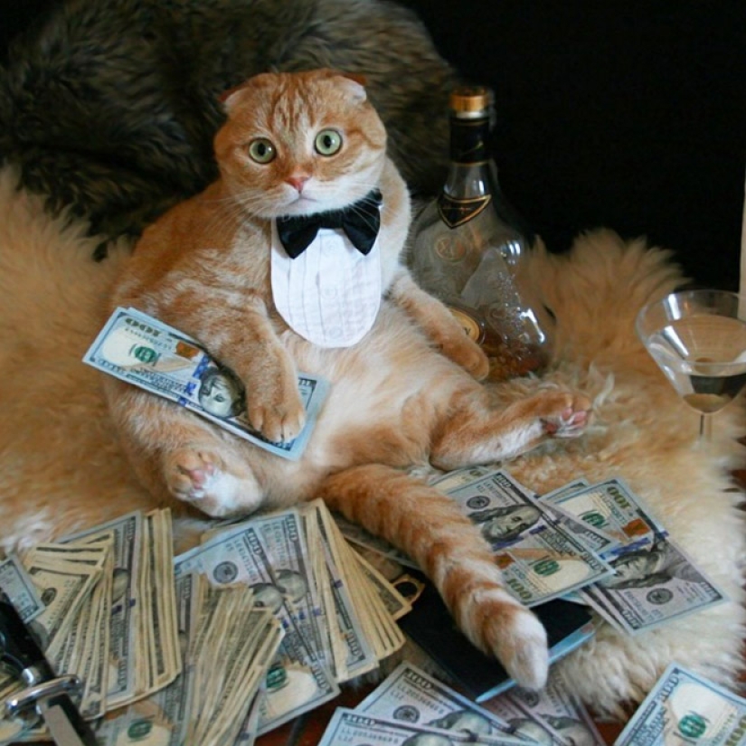 Tarjetas, dinero, dos barril: 20 gangsteritto fotos de instagram Tarjetas, dinero, dos barril: 20 gangsteritto fotos de instagram