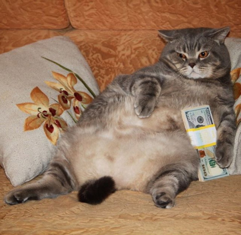 Tarjetas, dinero, dos barril: 20 gangsteritto fotos de instagram Tarjetas, dinero, dos barril: 20 gangsteritto fotos de instagram