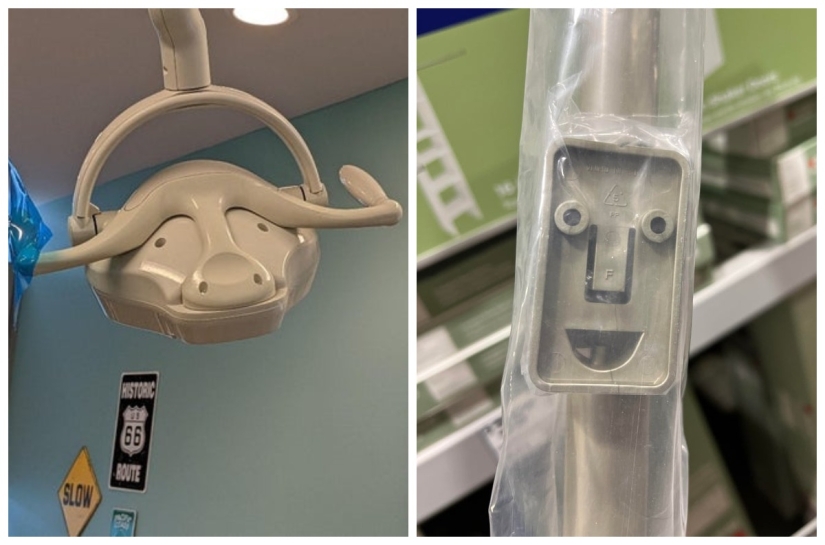 ¿Te pareció? 22 fotos de cosas que se parecen a otras cosas