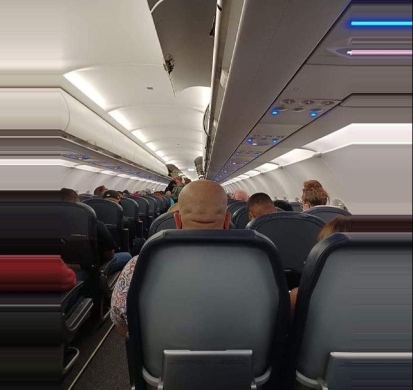 ¿Te pareció? 22 fotos de cosas que se parecen a otras cosas