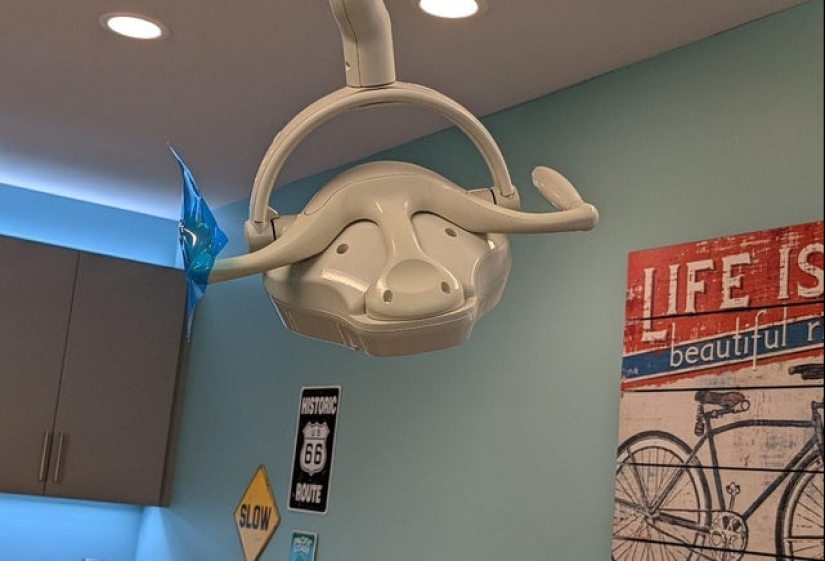 ¿Te pareció? 22 fotos de cosas que se parecen a otras cosas