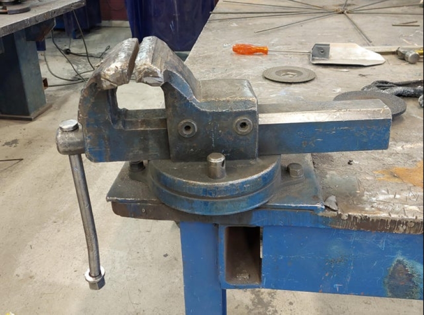 ¿Te pareció? 22 fotos de cosas que se parecen a otras cosas