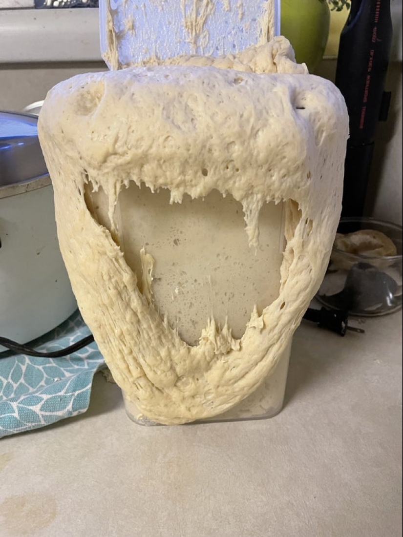 ¿Te pareció? 22 fotos de cosas que se parecen a otras cosas