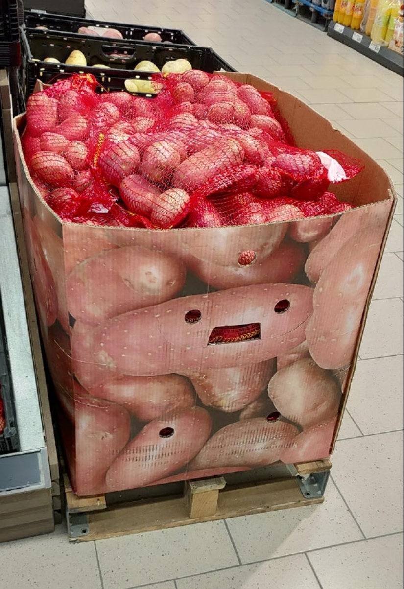 ¿Te pareció? 22 fotos de cosas que se parecen a otras cosas