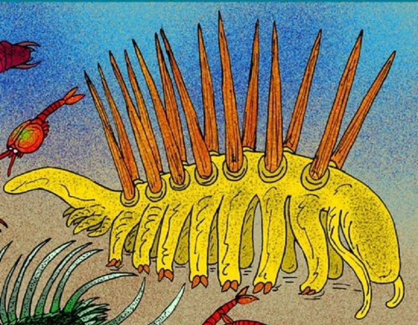 Thank God, they are extinct! 25 awful creatures who once inhabited Earth
