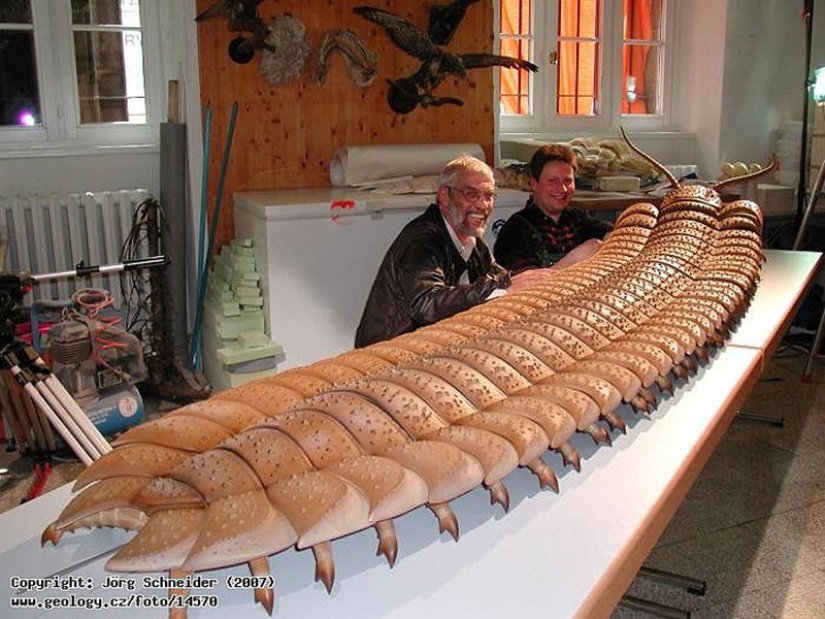 Thank God, they are extinct! 25 awful creatures who once inhabited Earth
