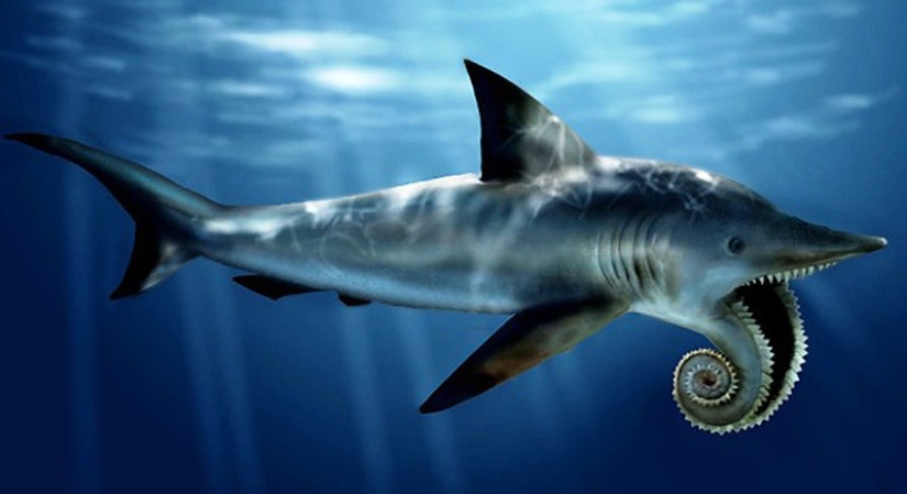 Thank God, they are extinct! 25 awful creatures who once inhabited Earth