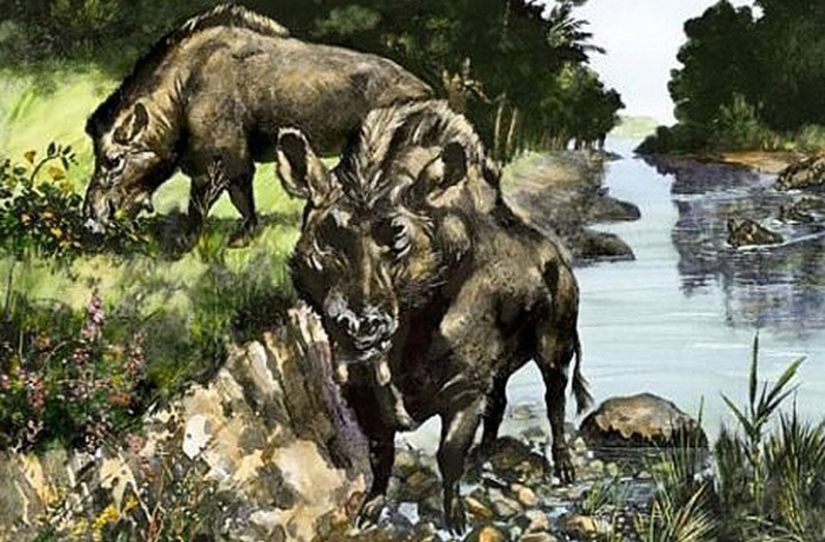 Thank God, they are extinct! 25 awful creatures who once inhabited Earth