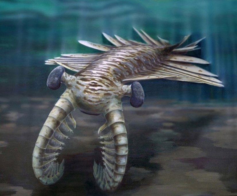 Thank God, they are extinct! 25 awful creatures who once inhabited Earth