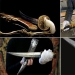 the 10 most expensive bottles of champagne to date the 10 most expensive bottles of champagne to date