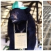 The amazing story of the Cocaine Bear — a bear who ate 34 kilos of smuggled cocaine The amazing story of the Cocaine Bear — a bear who ate 34 kilos of smuggled cocaine