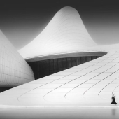 The Artist Gallery Awards Shared 11 Best Images Of 2024