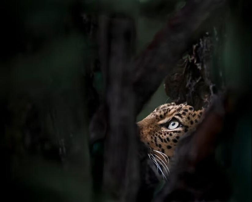 The Artist Gallery Awards Shared 11 Best Images Of 2024