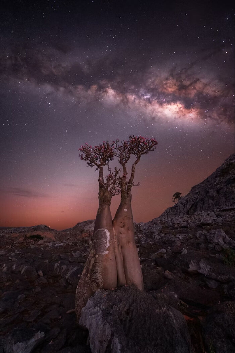 The Artist Gallery Awards Shared 11 Best Images Of 2024