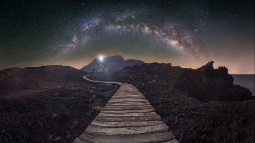 The Artist Gallery Awards Shared 11 Best Images Of 2024