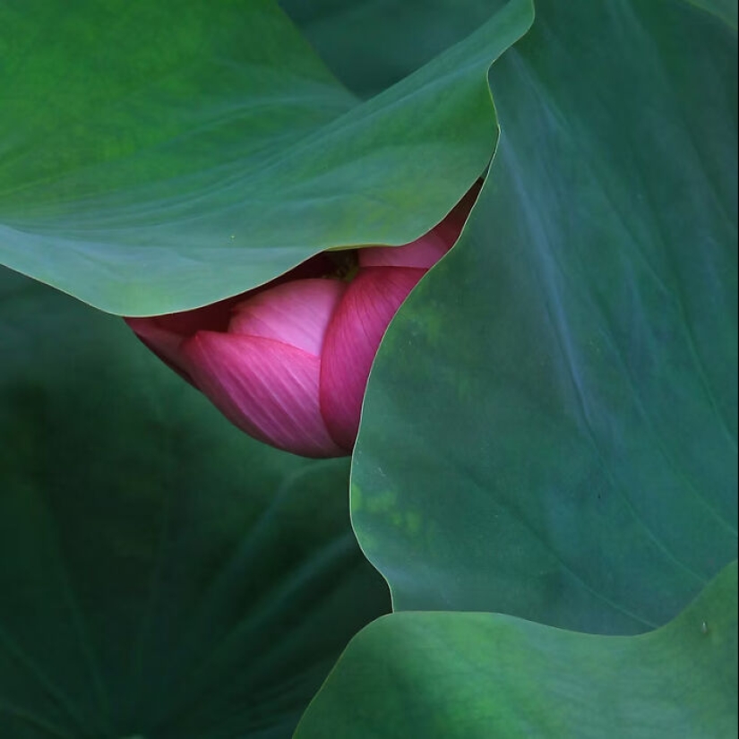 The Artist Gallery Awards Shared 11 Best Images Of 2024