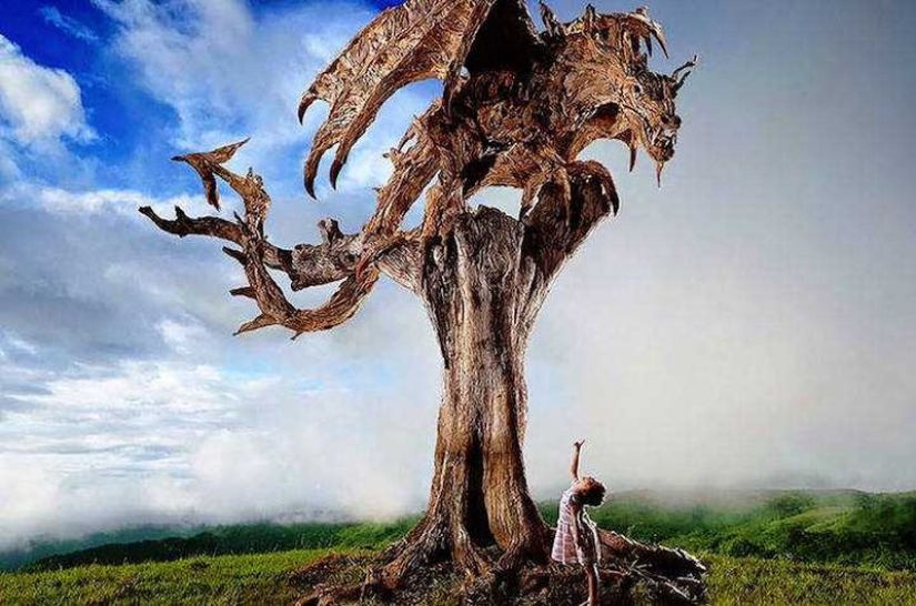 The artist turned driftwood into beautiful sculptures of moving animals The artist turned driftwood into beautiful sculptures of moving animals