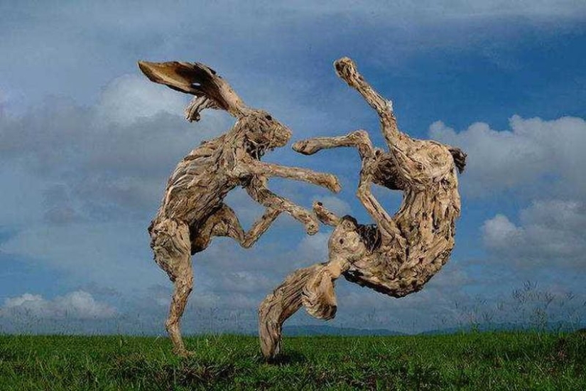 The artist turned driftwood into beautiful sculptures of moving animals The artist turned driftwood into beautiful sculptures of moving animals