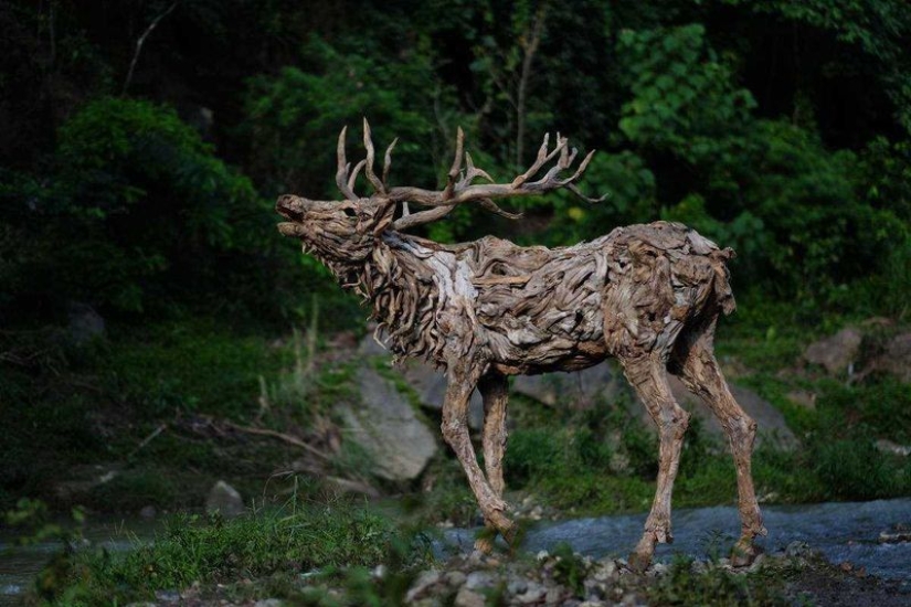 The artist turned driftwood into beautiful sculptures of moving animals The artist turned driftwood into beautiful sculptures of moving animals