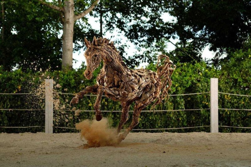 The artist turned driftwood into beautiful sculptures of moving animals The artist turned driftwood into beautiful sculptures of moving animals