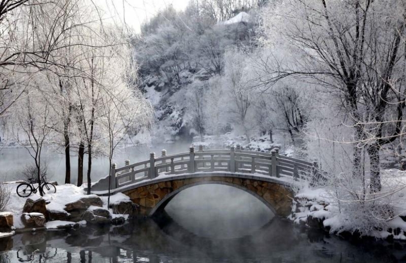 The beauty of winter The beauty of winter