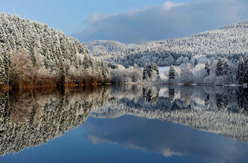 The beauty of winter The beauty of winter