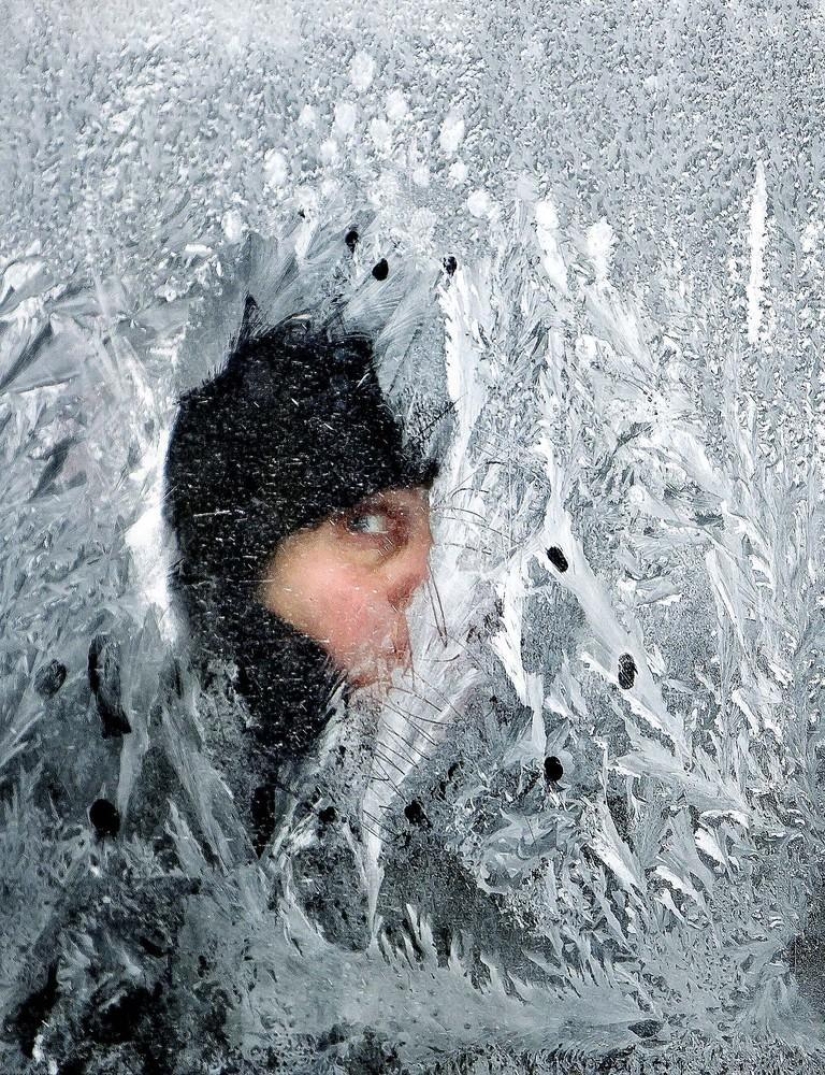 The beauty of winter The beauty of winter