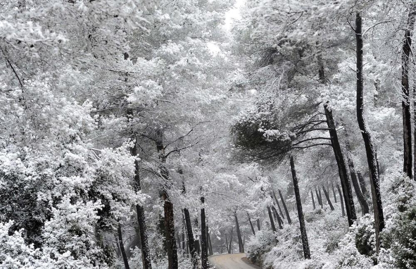 The beauty of winter The beauty of winter