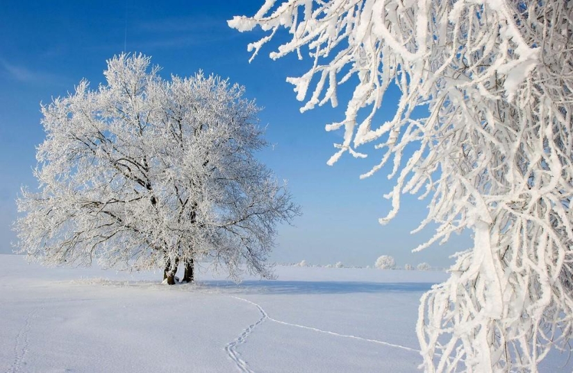 The beauty of winter The beauty of winter