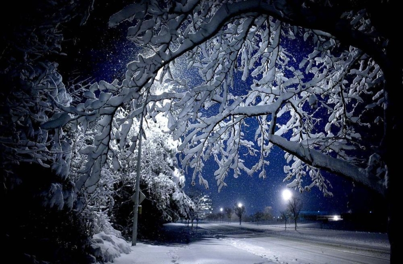 The beauty of winter The beauty of winter