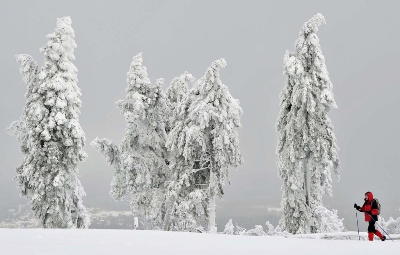 The beauty of winter The beauty of winter