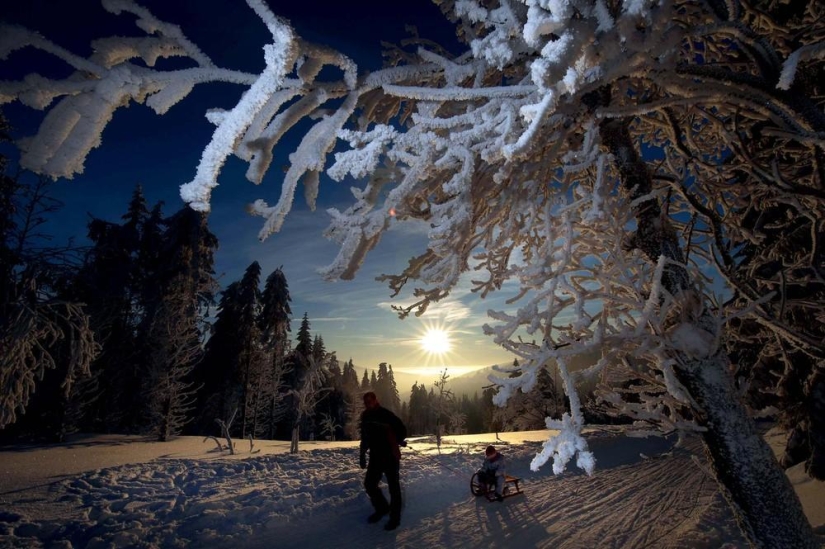 The beauty of winter The beauty of winter