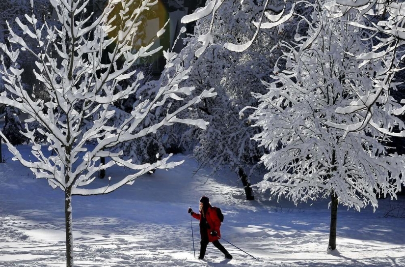 The beauty of winter The beauty of winter