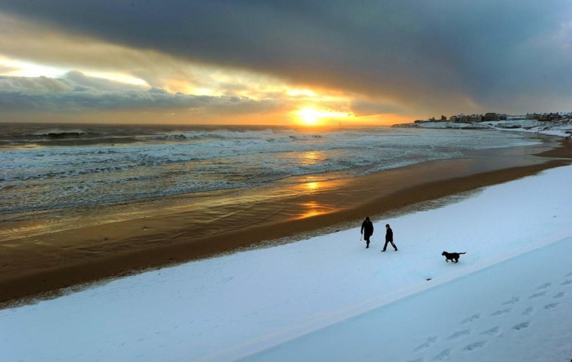 The beauty of winter The beauty of winter