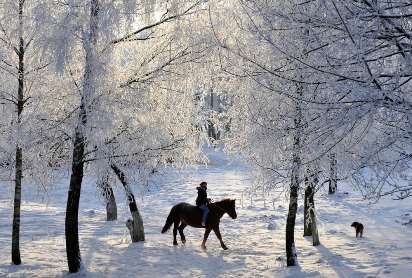The beauty of winter The beauty of winter