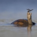The Best 15 Photographs Of 2024, As Shared By Siena International Photo Awards The Best 15 Photographs Of 2024, As Shared By Siena International Photo Awards