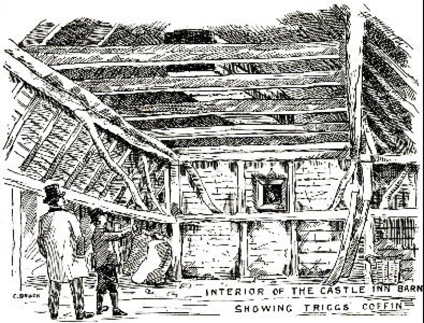 The Coffin in the Attic: The Incredible Story of Henry Trigg and His Adventures After Death The Coffin in the Attic: The Incredible Story of Henry Trigg and His Adventures After Death