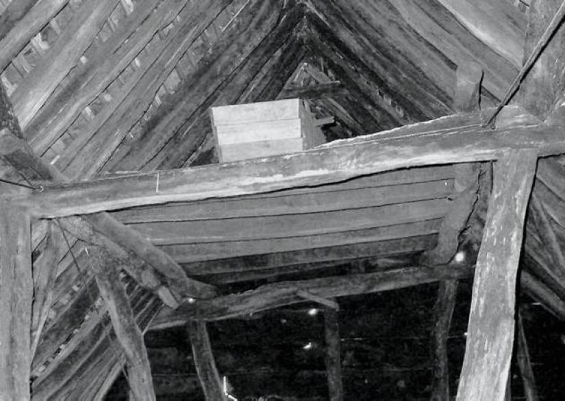 The Coffin in the Attic: The Incredible Story of Henry Trigg and His Adventures After Death The Coffin in the Attic: The Incredible Story of Henry Trigg and His Adventures After Death