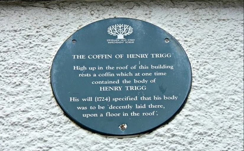 The Coffin in the Attic: The Incredible Story of Henry Trigg and His Adventures After Death The Coffin in the Attic: The Incredible Story of Henry Trigg and His Adventures After Death
