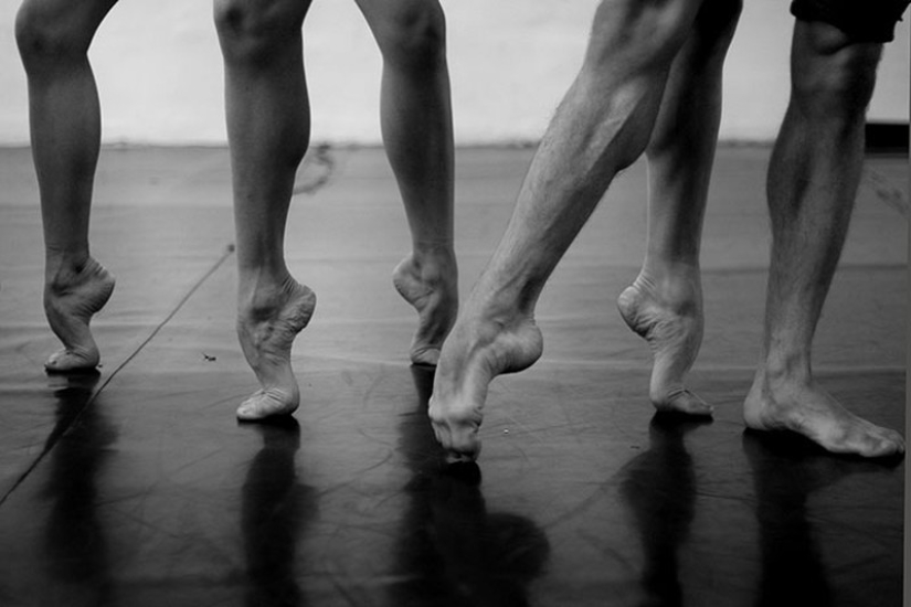 The flip side of success: the fee for perfection