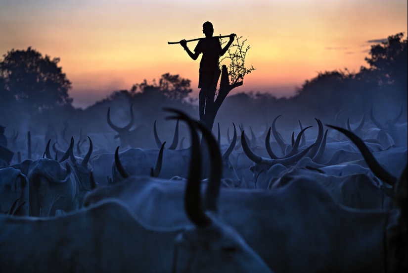 The Independent Photographer Has Announced Its 10 Most Moving Travel Photographs Of 2024 The Independent Photographer Has Announced Its 10 Most Moving Travel Photographs Of 2024