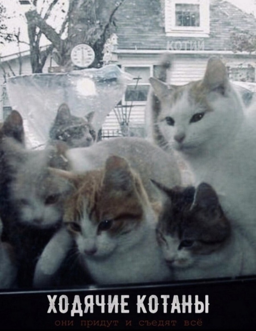 The Lord gets the last of the trays Kus! Posters of box office hits with cats in the lead roles The Lord gets the last of the trays Kus! Posters of box office hits with cats in the lead roles