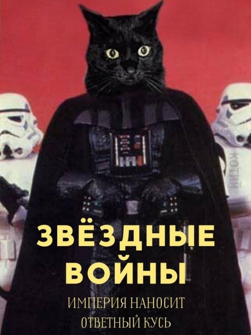 The Lord gets the last of the trays Kus! Posters of box office hits with cats in the lead roles The Lord gets the last of the trays Kus! Posters of box office hits with cats in the lead roles