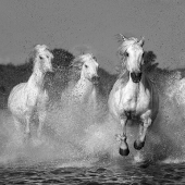 The Monochrome Photography Awards Have Announced The Winners Of 2023