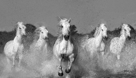 The Monochrome Photography Awards Have Announced The Winners Of 2023 The Monochrome Photography Awards Have Announced The Winners Of 2023