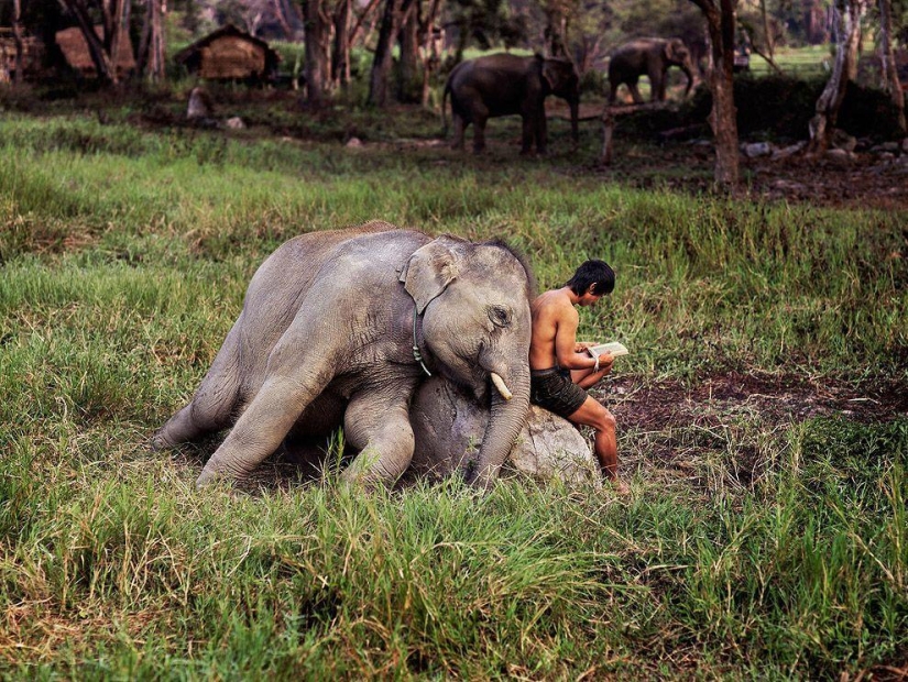 The most beautiful photographs of Steve McCurry from around the world The most beautiful photographs of Steve McCurry from around the world