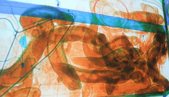 The most unusual finds of customs officers