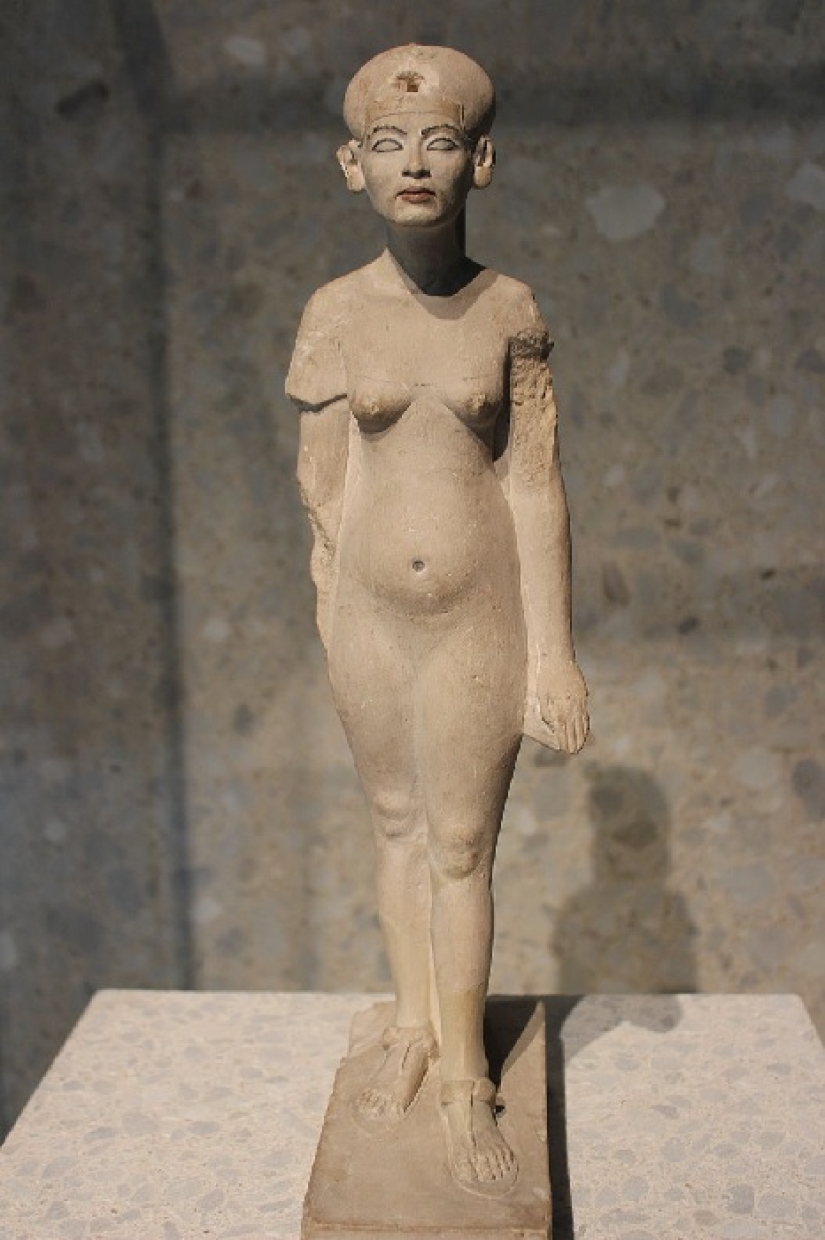 The mysterious fate of Queen Nefertiti: early marriage, plague, intrigue, and the disappearance of The mysterious fate of Queen Nefertiti: early marriage, plague, intrigue, and the disappearance of